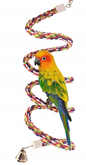Rope Bungee Bird Toy.jpg