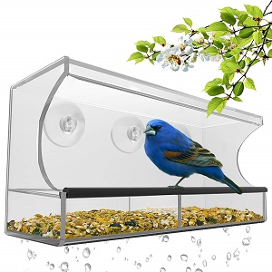 Nature's Hangout Window Bird Feeder .jpg