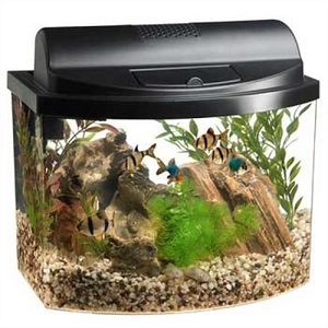 Aqueon Mini Aquarium Kit 2.5 Gallon .jpg