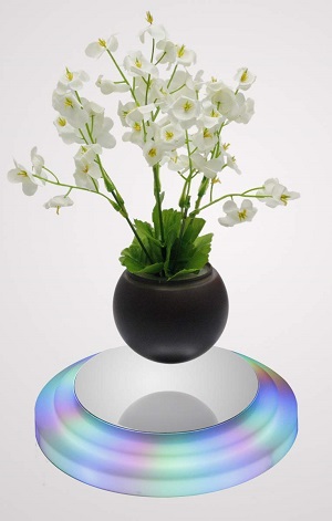 LED Floating Bonsai Pot .jpg