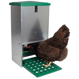 RentACoop Treadle Feeder for Chickens.jpg